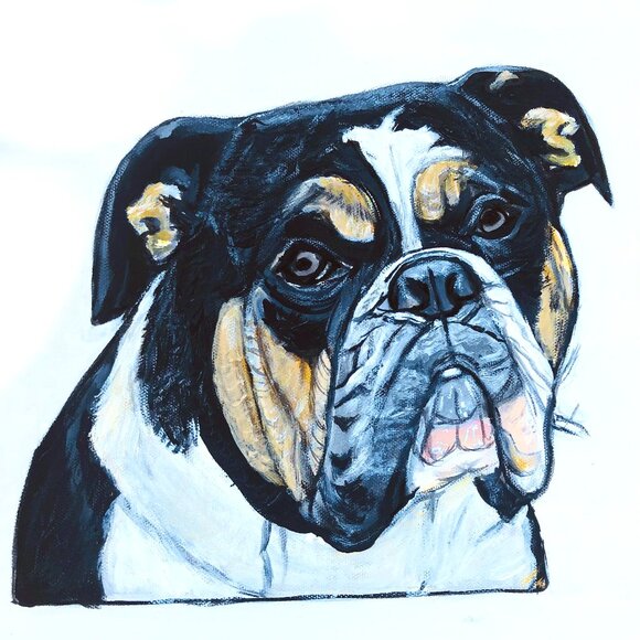 Bull Dog Canvas Art Print 8"x8" in - Picture 1 of 1